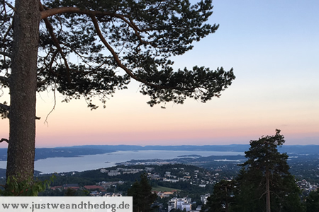 holmenkollen6